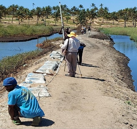 2601 projecten mozambique